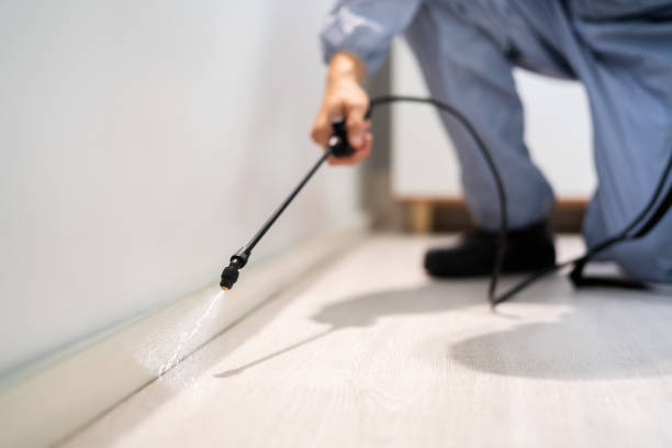 Certified termite inspector examining foundation in Harker Heights