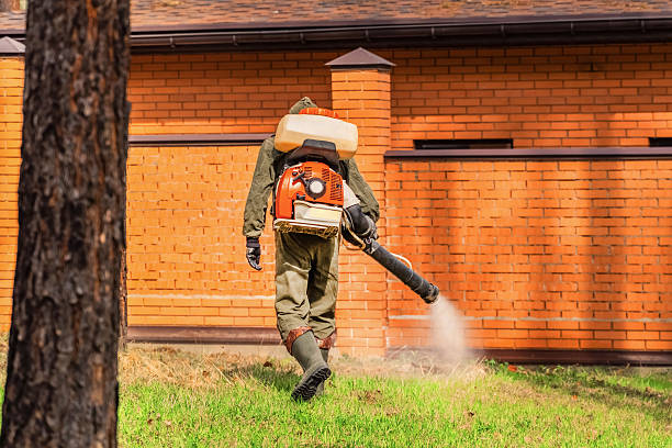 Bed Bug Clearance Verification and Documentation in Harker Heights